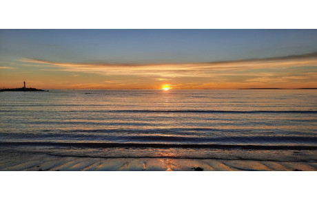 Bienvenue sur le site officiel de l'association Chaponnay yoga